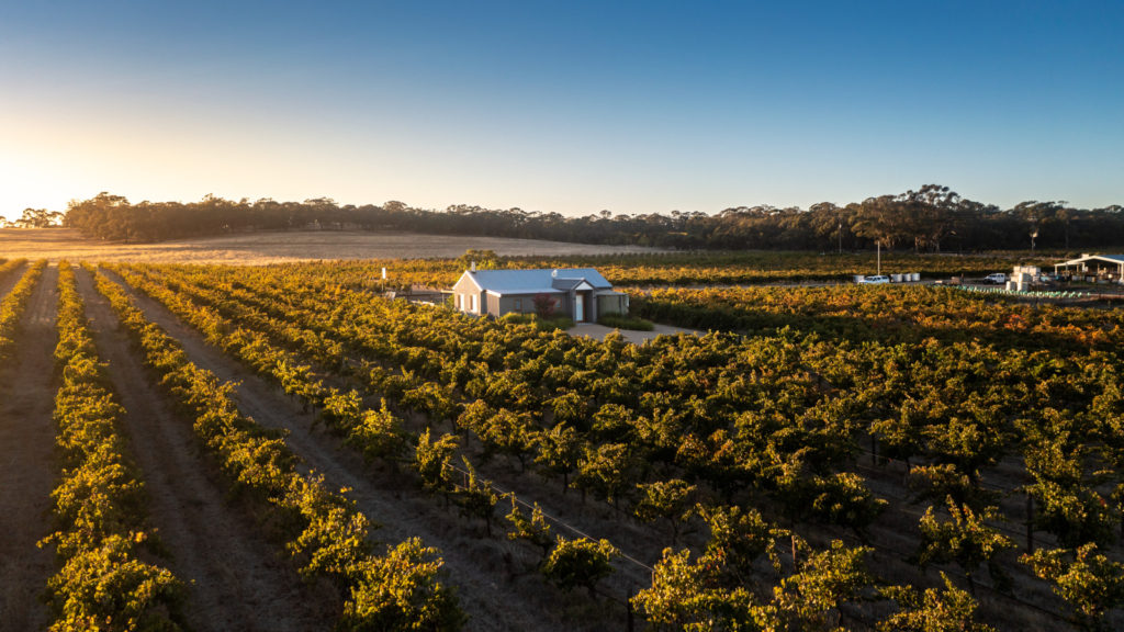 Hayes Family Wines Golf and Wine Tours
