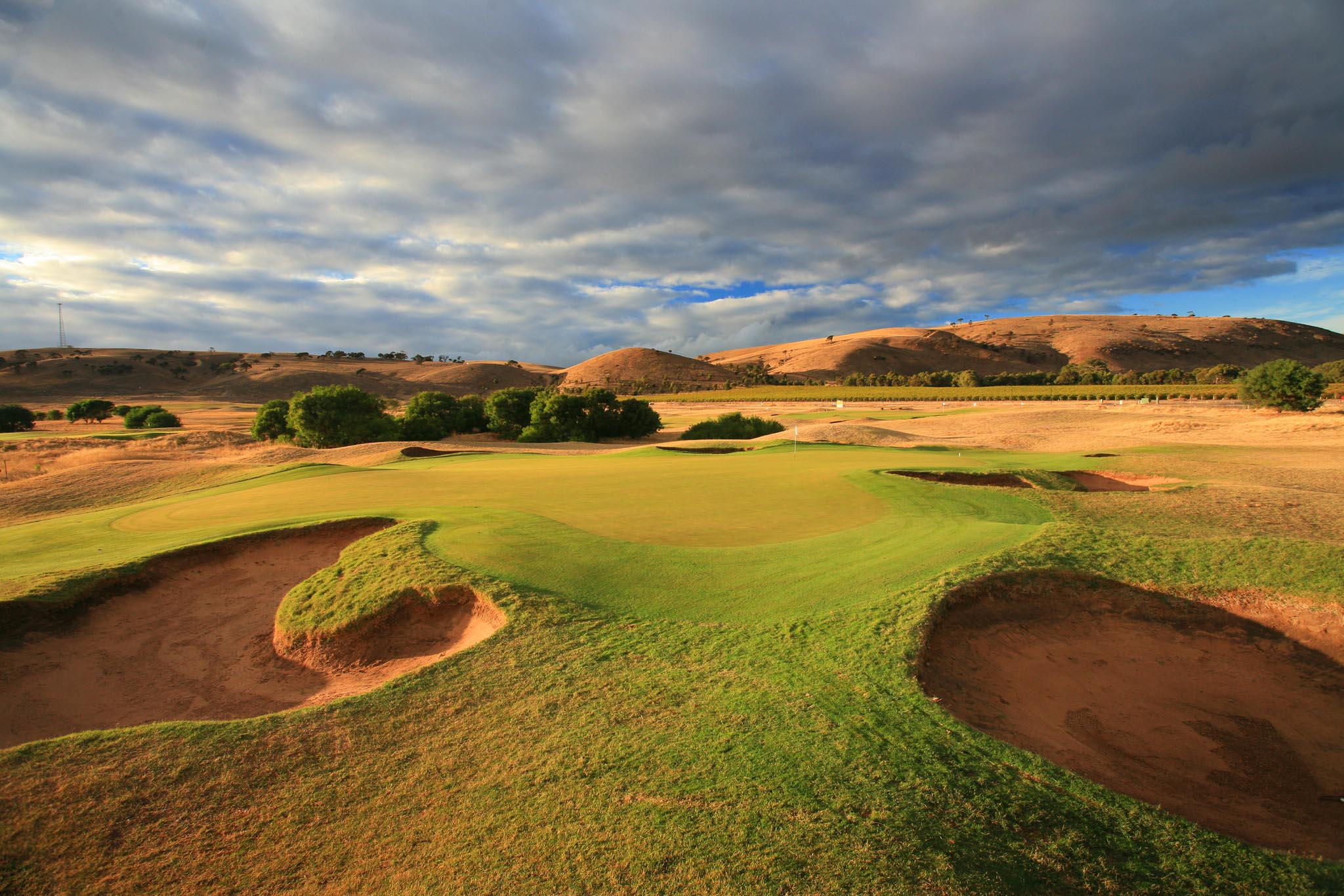 Golf and Wine Tours