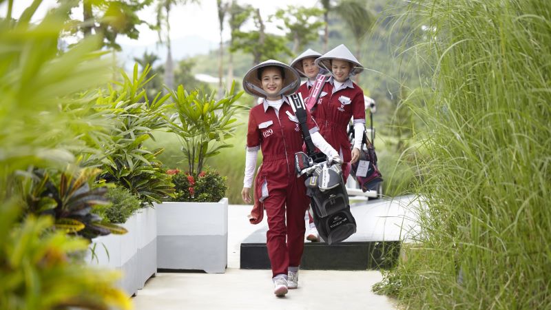Caddies_800x450 Caddies